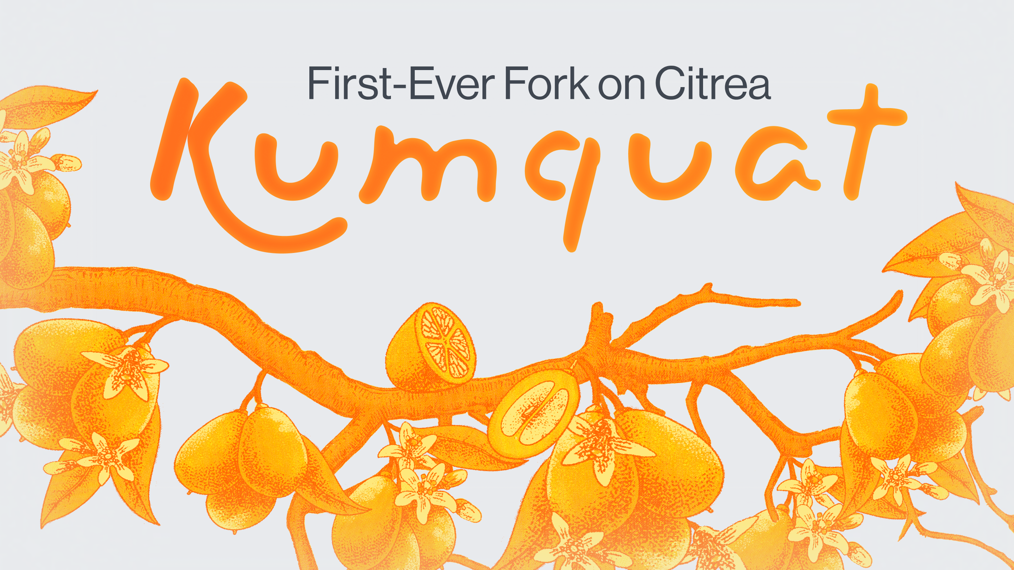 Kumquat: The First-Ever Fork on Citrea