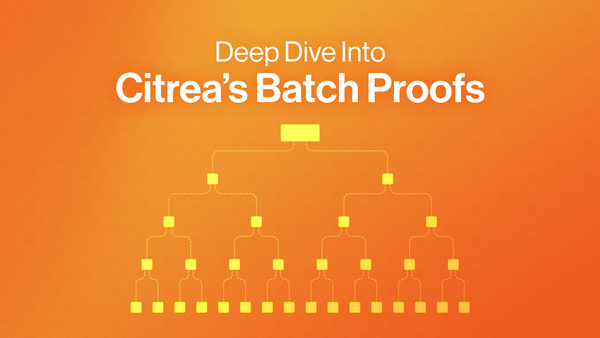 Deep Dive into Citrea's Batch Proofs